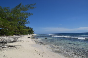 The stunning beaches and green lush landscapes on Moorea Island in French Polynesia, South Pacific 