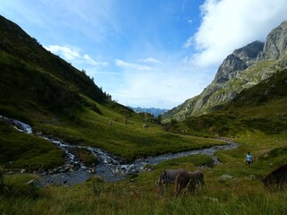 fiume in montagna