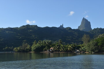 The lush green mountains and rainforests of Moorea island in French Polynesia, South Pacific