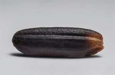 Macro shot of riceberry grains