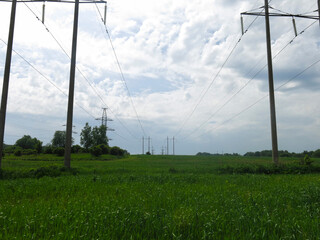 Obraz premium panorama of a summer field with power transmission poles