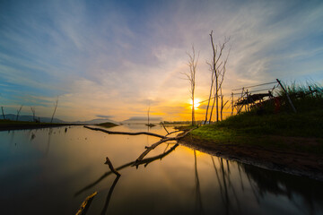 evening reservoir and dry trees