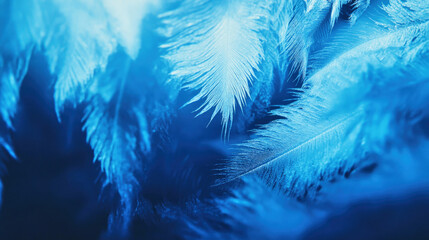 Obraz premium Frost sparkles on glass under a blue pre-dawn sky in Calgary, revealing intricate textures