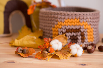 autumn hair clips for little girls