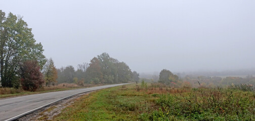 Morning fog over the road