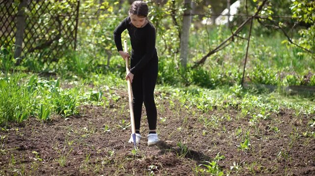 Teenage girl weeding garden bed with hoe. Young girl removing weeds from soil for vegetables using gardening tool. Adolescent girl cultivating garden plot by hoeing out unwanted plants