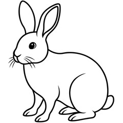 Fototapeta premium white rabbit on white