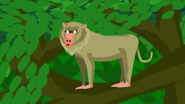 Animated video of a monkey in the jungle, art.