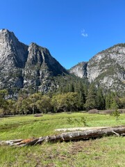 Yosemite landscape green meadow with mountains