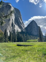 Yosemite meadow 