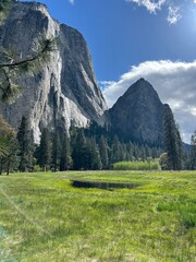 Yosemite Meadow 