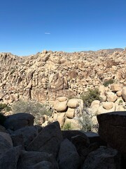 Desert canyon Joshua tree