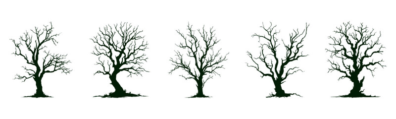 Fototapeta premium Tree Silhouette, black tree, isolated on transparent background 