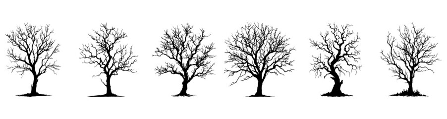 Tree Silhouette, black tree, isolated on transparent background
