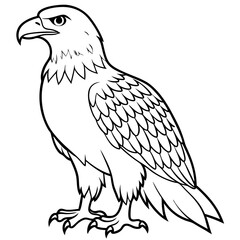 Obraz premium eagle isolated on white