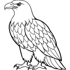 Fototapeta premium eagle on a white background