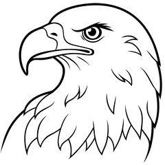Obraz premium eagle head vector