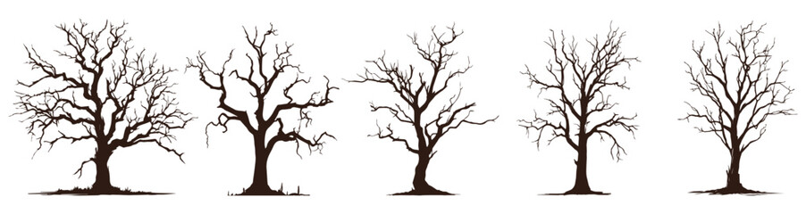 silhouette of a tree