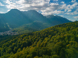 A huge wild forest viewed from the drone in sunny weather. Picturesque places far from urban...