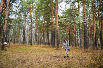 Obraz premium A person leisurely walking through a beautiful forest filled with tall pine trees and vibrant autumn leaves, enjoying natures tranquility