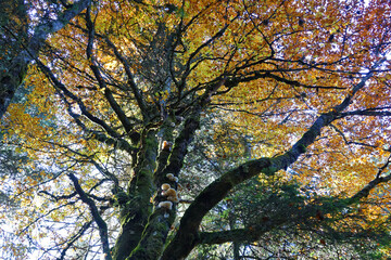 Fototapeta premium Randonnée automnale dans le Vercors avec de magnifiques paysages colorés