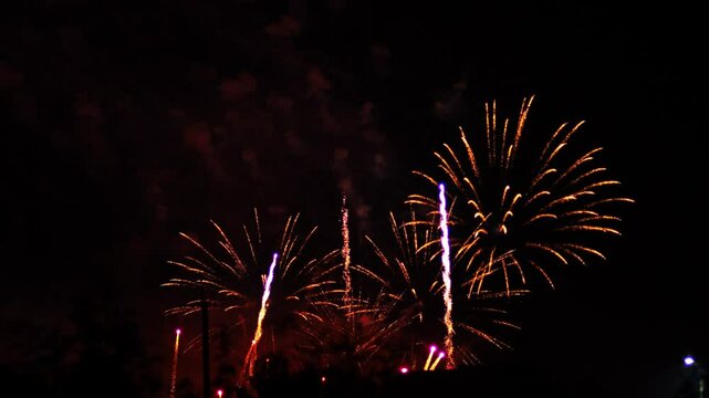 pink purple green sparks scattering fireworks on the black night sky. General plan
