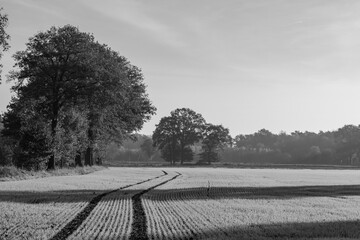Herbstzeit in Bocholt