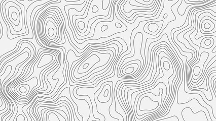 Fototapeta premium Topographic map background geographic line map