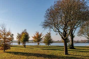 Herbststimmung am Rhein
