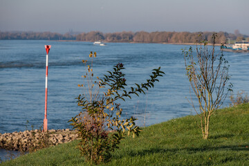 Herbststimmung am Rhein