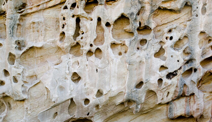 stone wall texture, holes in rock, textured rock, pattern of holes