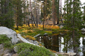 Fototapeta premium Apline lake side