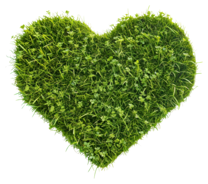 PNG Heart shape lawn symbol herbs plant.