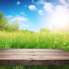 Tranquil Landscape with Blue Sky and Green Field