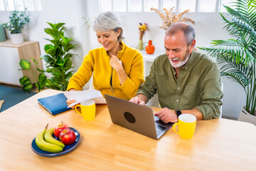 Happy senior couple working on personal financial bills at home