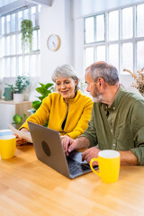 Senior couple reviewing domestic financials using laptop at home