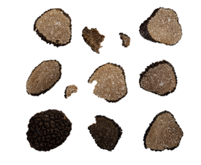 Truffle slices and whole truffle