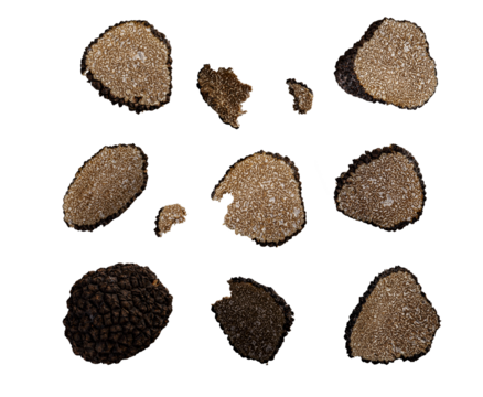 Truffle slices and whole truffle