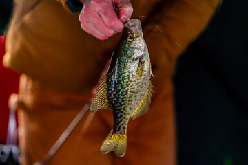 Caught you like a bass