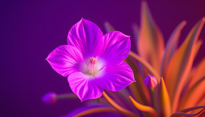 Fototapeta premium flora neon purple pink flower background psych trippy isolated with white highlights, png