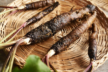 Fresh whole burdock root in a basket