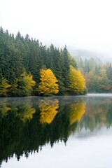Serene Autumn Lakeside Misty Reflections and Vibrant Foliage