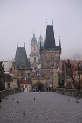 Obraz premium charles bridge at morning with fog, prague, praga, czech republic