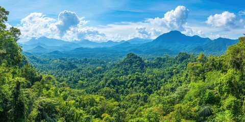 Fototapeta premium Lush Green Forest Landscape
