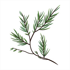 Obraz premium Art & illustration vector white colour backgroundon
