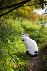 Obraz premium Unexpected friend