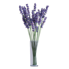 Obraz premium lavender in a glass vase
