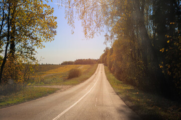 Autumn landscape and sunny evening, orange road and highway, asphalt and roadside.