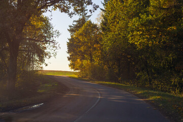 Fototapeta premium Autumn landscape and sunny evening, orange road and highway, asphalt and roadside.