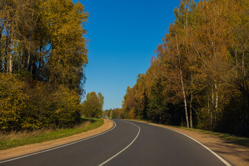 Fototapeta premium Autumn landscape, road and highway, asphalt and roadside.